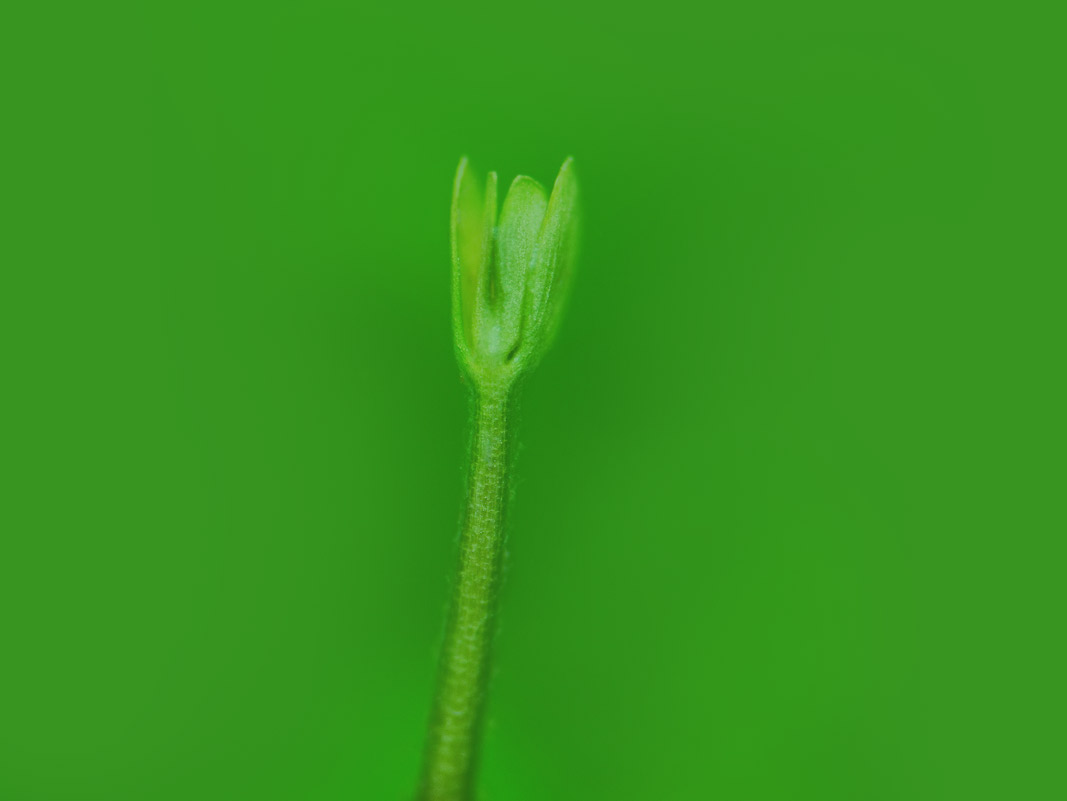 2014我们成长的故事